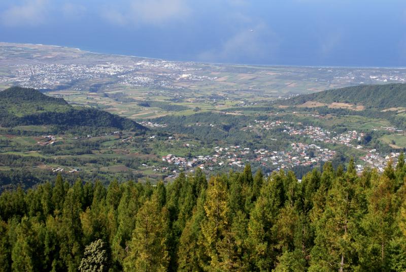 Au premier plan des cèdre japonais, au milieu le village Les Makes et au fond la ville de Saint-Louis sur l'île de la Réunion.