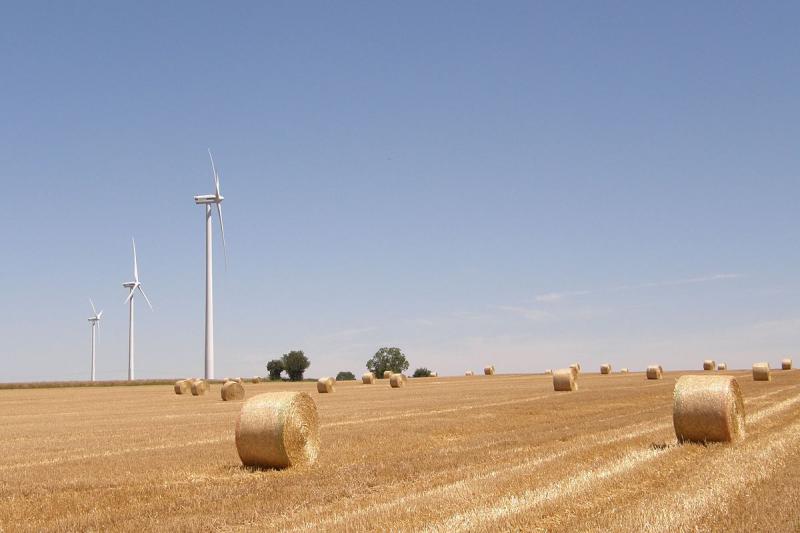 Photo prise du chemin communal n°9 à Saint-Martin-lès-Melle, dans le département des Deux-Sèvres.