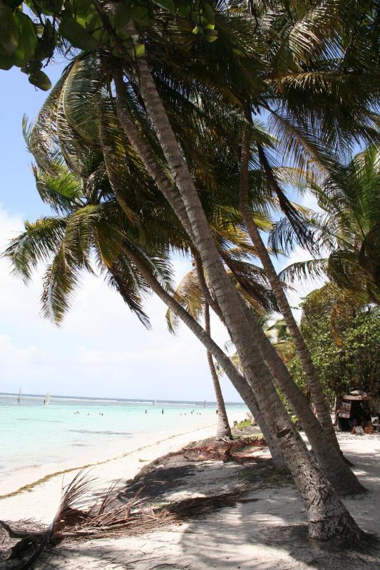Plage de la Caravelle, Guadeloupe.