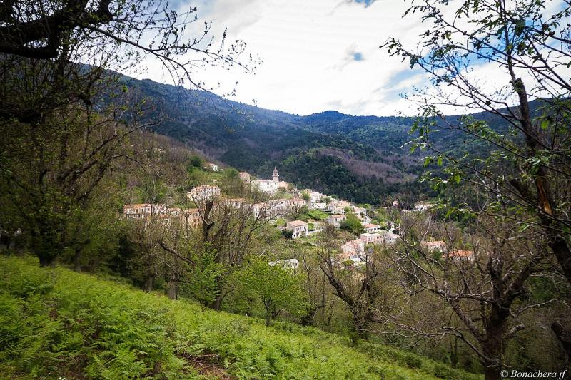 San-Gavino-di-Fiumorbo vue depuis la D 945, en venant de Ania, dans le département de la Haute-Corse.