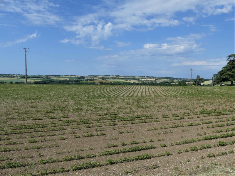  Le plateau au nord du bourg de Saumont.