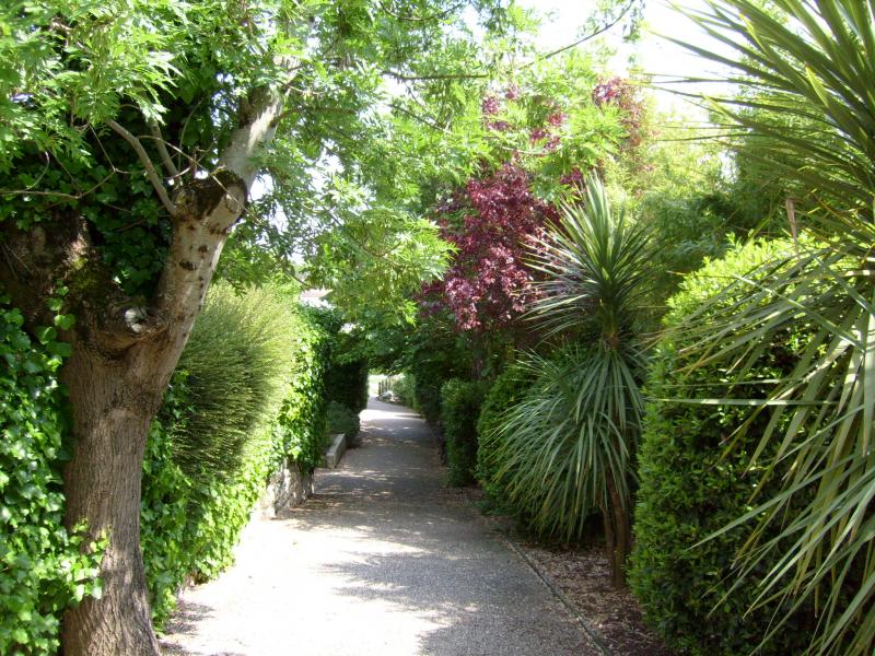 Chemin des Fontaines.