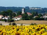  image de la ville Gout-Rossignol
