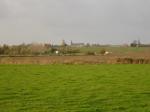  image de la ville Oost-Cappel