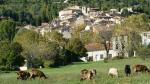  image de la ville Seillans