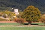 image de la ville Signes
