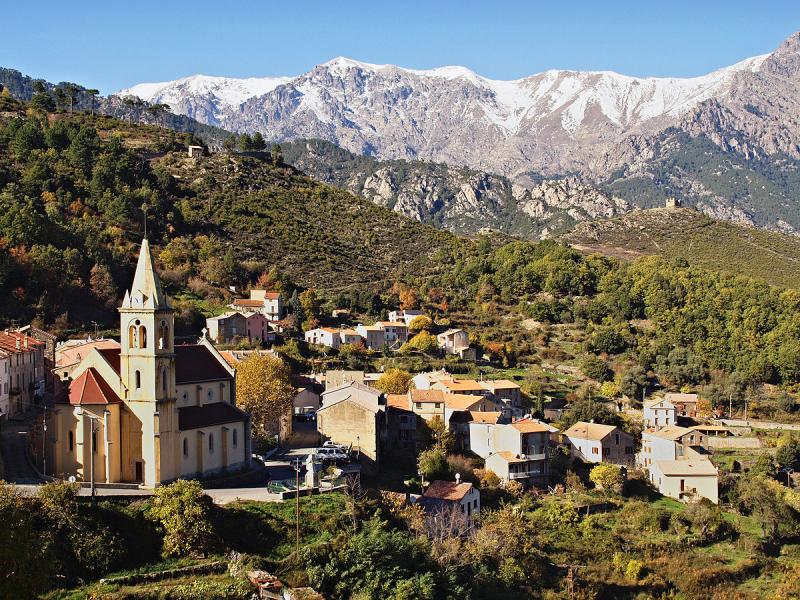 Vivario.