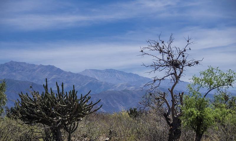 Cerro el Manchao.