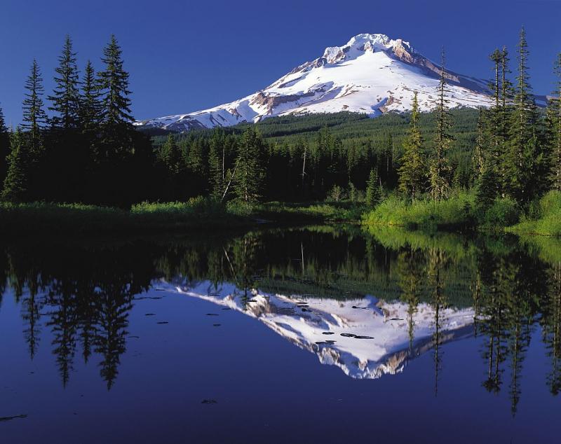 Mont Hood.