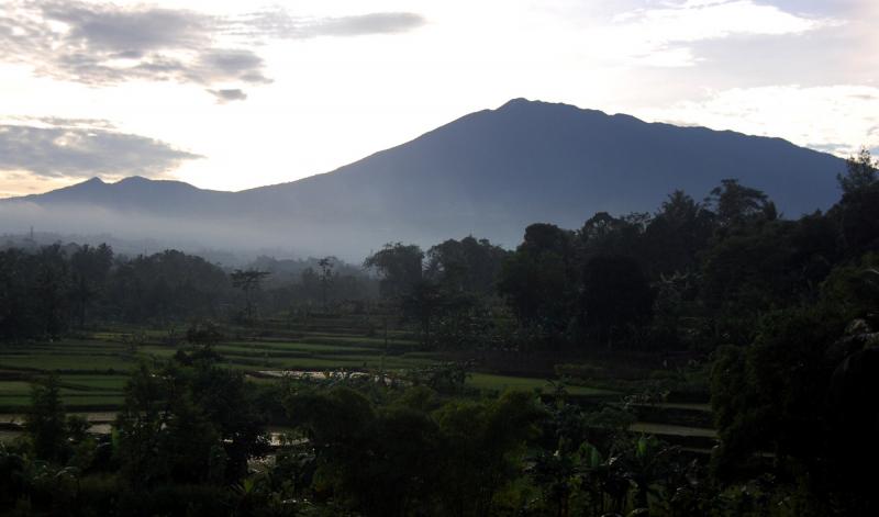 Pangrango.