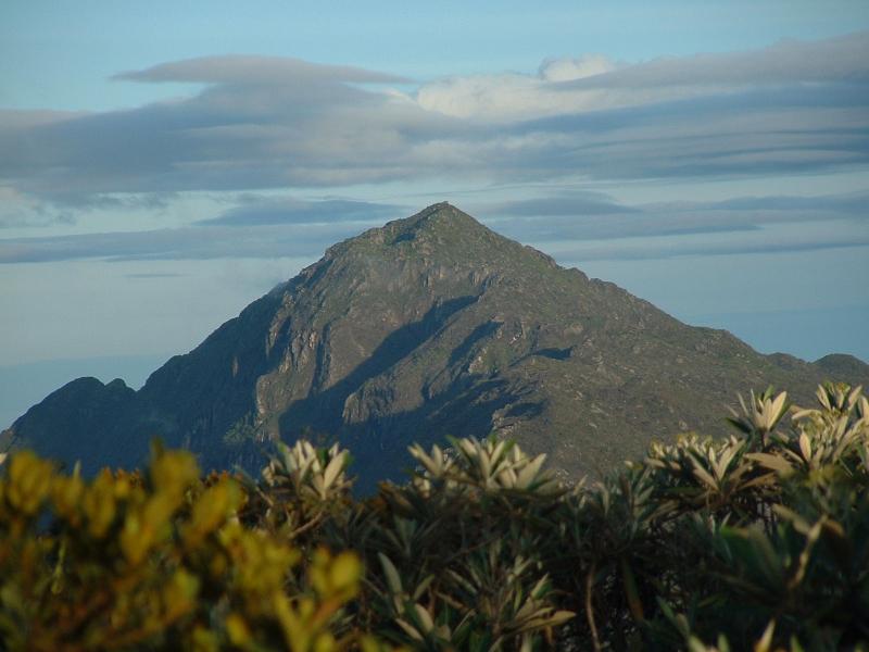 Pico Naiguata.