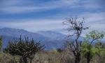  image du sommet Cerro el Manchao