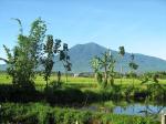  image du sommet Gunung Dempo