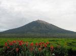  image du sommet Gunung Kerinci