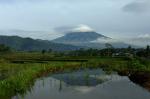  image du sommet Gunung Sumbing