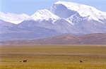  image du sommet Gurla Mandhata