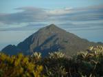  image du sommet Pico Naiguata