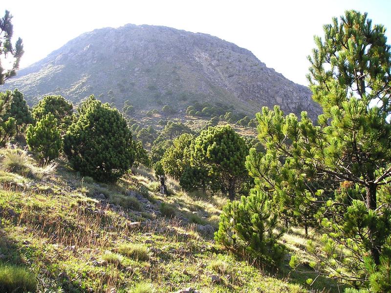 Volcan Tajumulco.