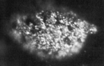  image de l'élément chimique Berkélium