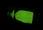  image de l'élément chimique Phosphore