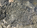  image de l'élément chimique Prométhium