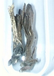  image de l'élément chimique Samarium