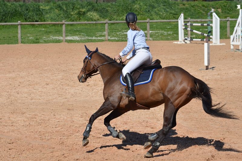 Une femme et son cheval sont au galop dans un centre équestre