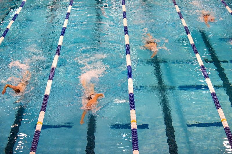 Des nageurs dans une piscine se déplacent dans leur couloir