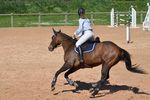  image du sport Équitation