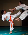  image du sport Karaté et disciplines associées