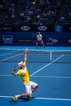  image du sport Tennis